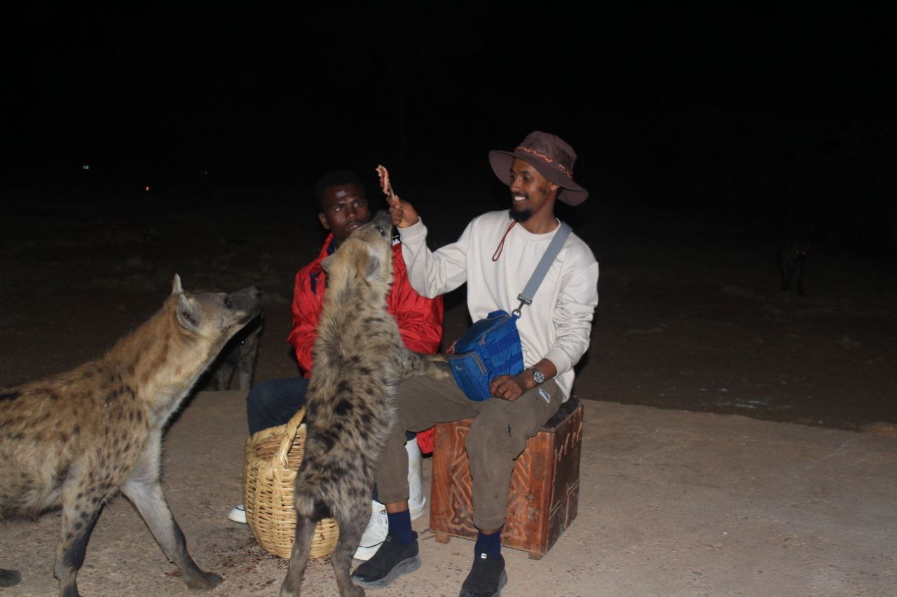 Harar
